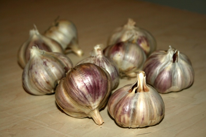 Česnakas, valgomasis