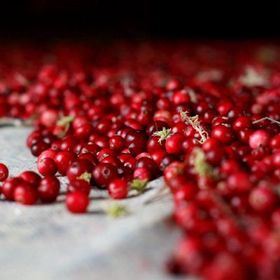 Surinktos spanguoles