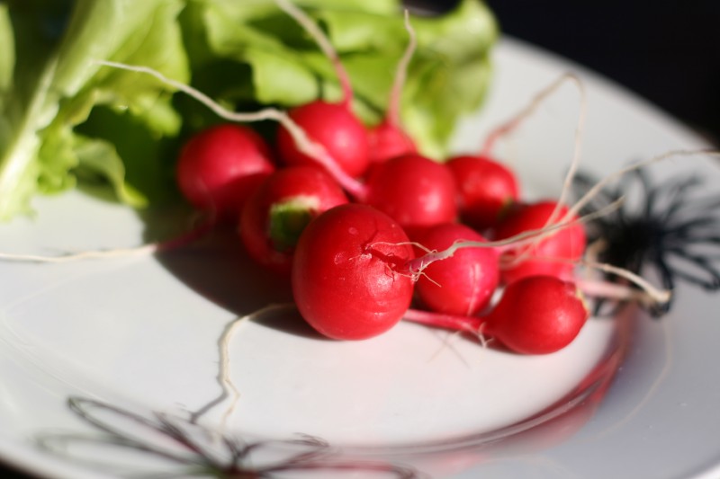 Ridikėlis, paprastasis