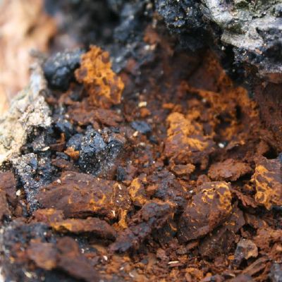 Isskobtas izulnusis skylenis