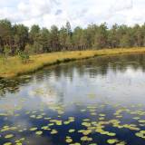 Anykščių grožybės