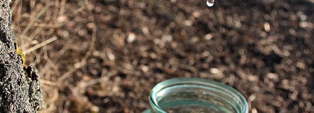 Ar tikrai ankstyvas pavasaris?