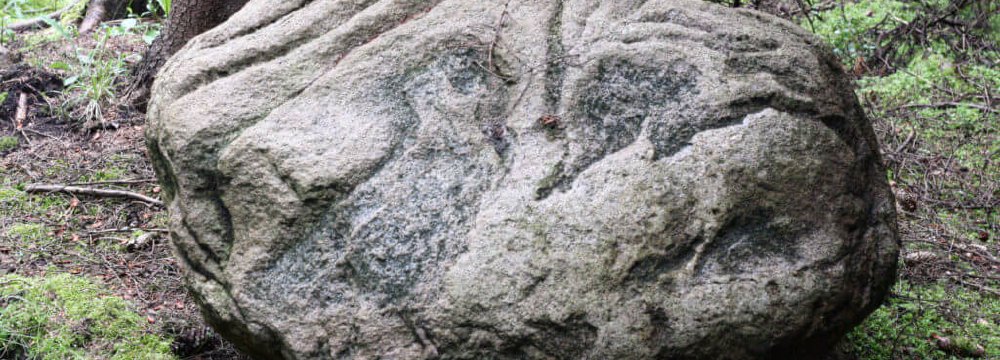 Atgal į akmens amžių