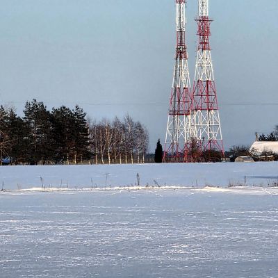 Technologijos gamtoje