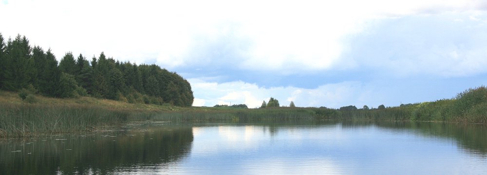 Mūšos upė ir dygliavaisiai virkšteniai