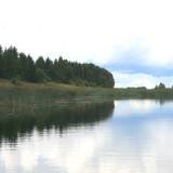 Mūšos upė ir dygliavaisiai virkšteniai