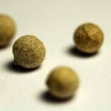 Sėklos, grūdai ir riešutai. Fotografuojame iš arti.