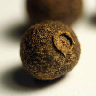 Kvapiojo pipiro žirnelis