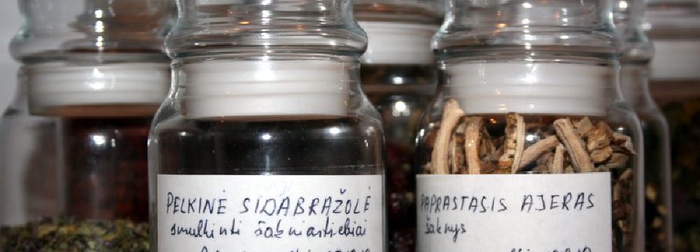 Surinktų vaistinių augalų inventorizacija