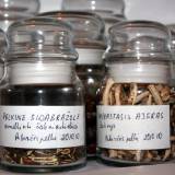 Surinktų vaistinių augalų inventorizacija