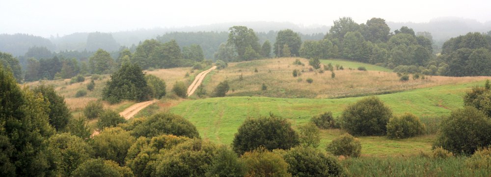 Trumpai apie vasarą