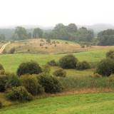 Trumpai apie vasarą