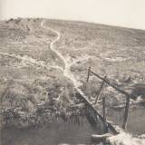 Henrikas Gudavičius "Laiškai iš kaimo"