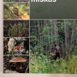 Rimantas Grikevičius. "Nuostabus miškas"