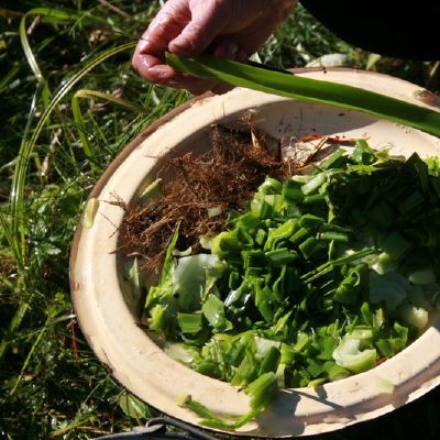 Kiti tepalo ingredientai