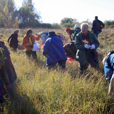 Pelkines sidabrazoles rinkejai