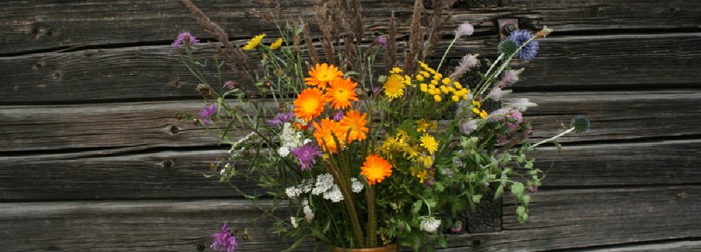 Žolinės šventės 2009