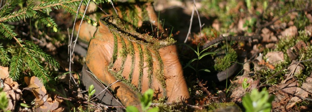 Ar aš galėsiu užsiimti gamtos stebėjimu? Juk neesu gamtininkas.
