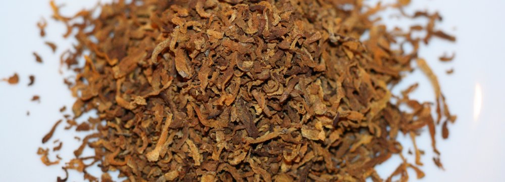 Kavos iš vaisių ir šaknų