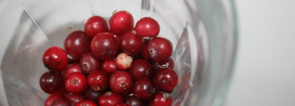 Spanguolių gėrimas su medumi