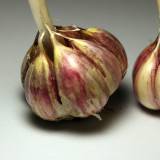 Kam nereikalingas česnakas. Keletas atvejų kada česnakas gali pakenkti.