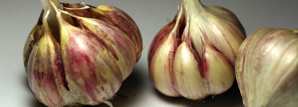 Kam nereikalingas česnakas. Keletas atvejų kada česnakas gali pakenkti.