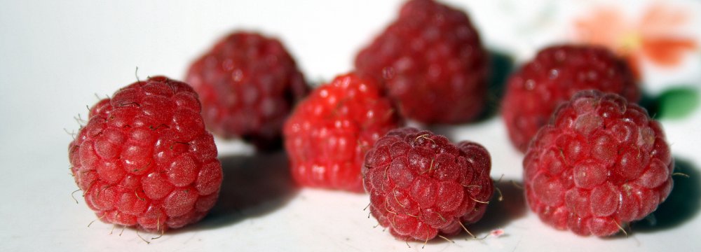 Pagirių gydymas. Kaip elgtis padauginus alkoholio.