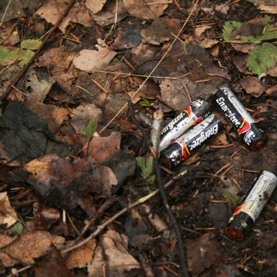 Siukslintoju ismatos