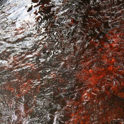 Vanduo raibuliuoja pilnuose pamiskiu grioviuose