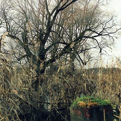 Netiketas gelzbetoninis kubilas