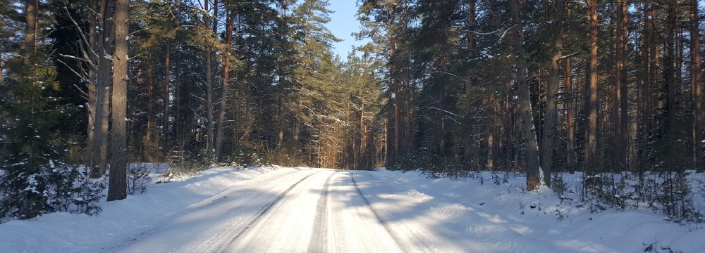 Žiemos žygis Palūšėj