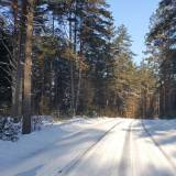 Žiemos žygis Palūšėj