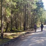 Žygis Anykščiai - Andrioniškis - Anykščiai