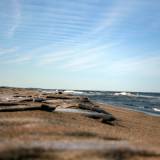 Žygis Kuršių nerijoje