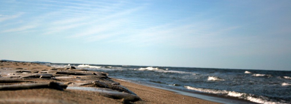 Žygis Kuršių nerijoje