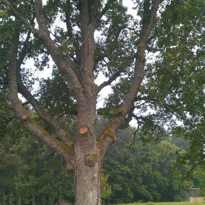 2 2012 08 18 06.33.39