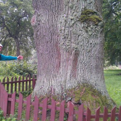 3 2012 08 18 06.36.15