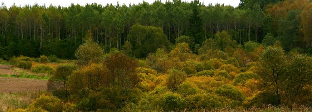 Žygis Varnių regioniniame parke