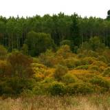 Žygis Varnių regioniniame parke