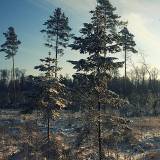 Žygis žiemą - džiugina kiekvieną