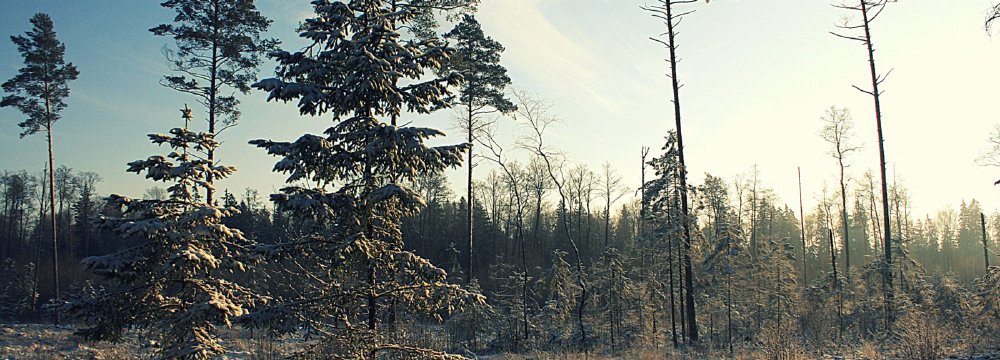 Žygis žiemą - džiugina kiekvieną